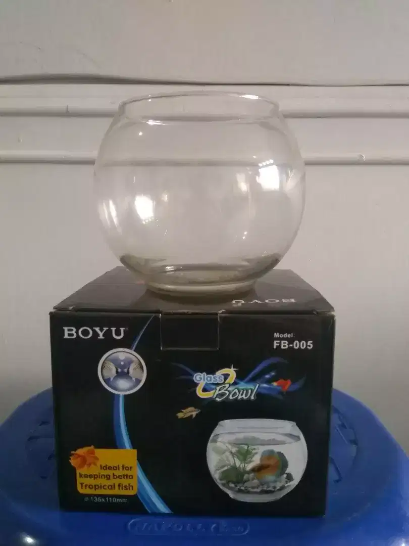 Aquarium Glass Bowl