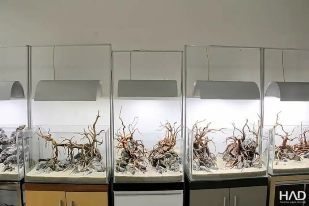 Hamsa Aquarium Costume Aquarium & Cabinet