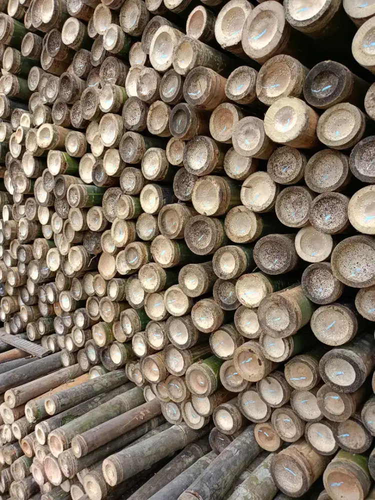 Jual bambu,kaso,dolken proyek