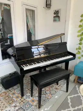 Grand on sale piano olx