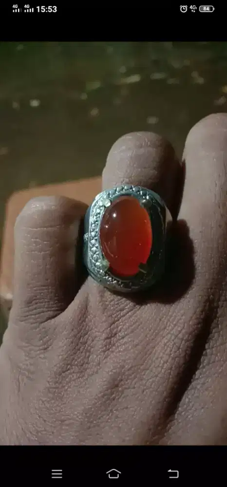 Natural garut reddish cikolak