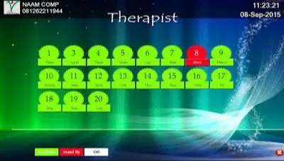 Software Spa Reflexiology Custom