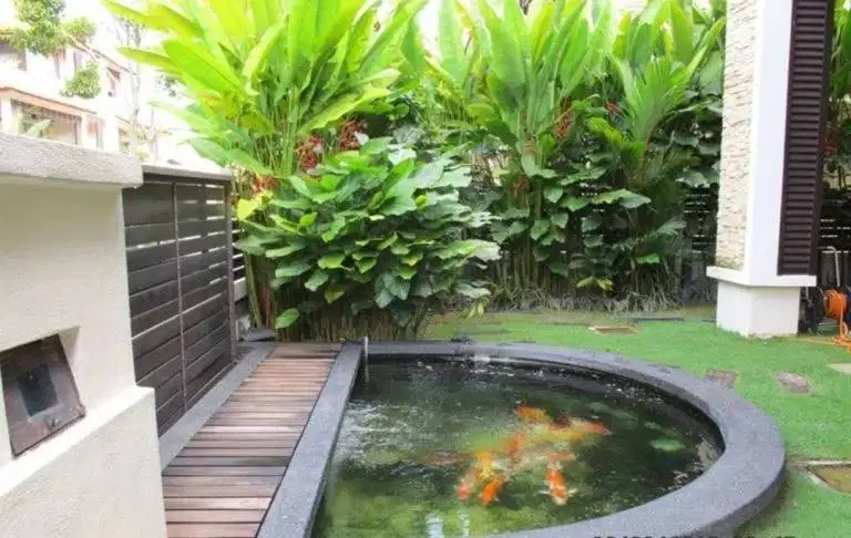 Spesialis kolam minimalis harga relatif kualitas bagus