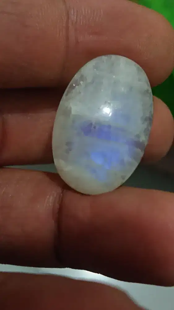 Natural   biduri laut