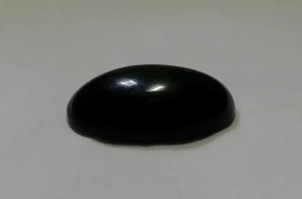 Batu Fosil Galih Kelor Original