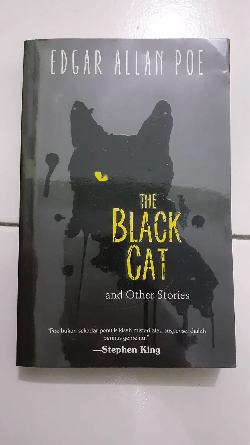 Novel The Black Cat (Kumpulan Cerpen)