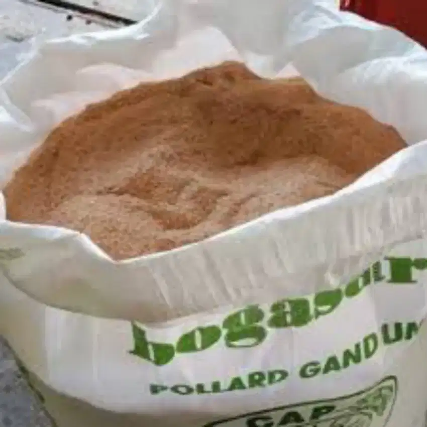 Pollard Gandum Cap Angsa Pakan Ternak