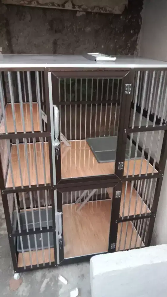 Kandang kucing Menteng 4