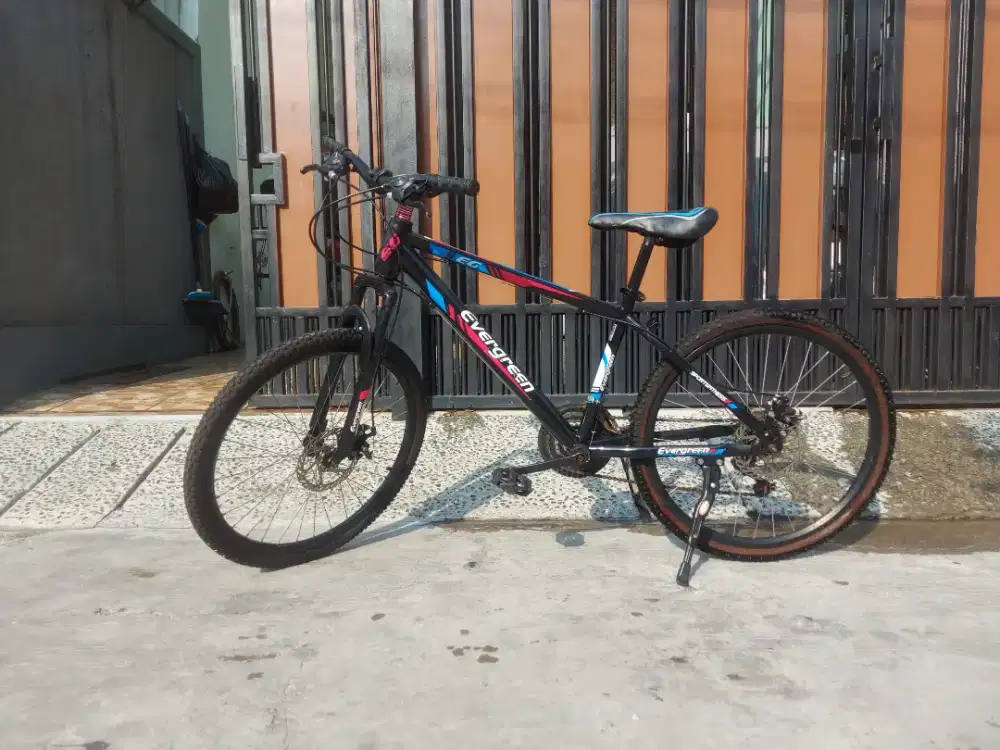 Evergreen eg cheap 225 sepeda mtb