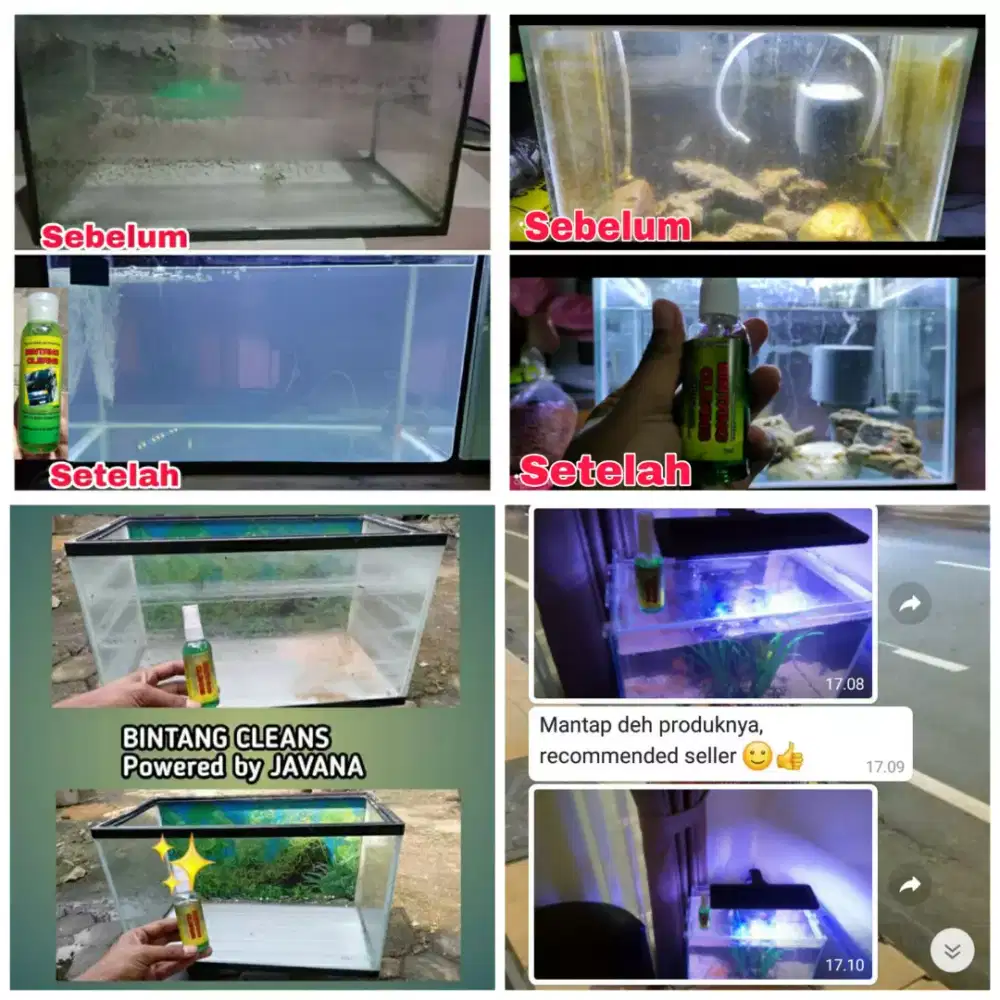 Pembersih Jamur Kaca Aquarium Bintang Cleans