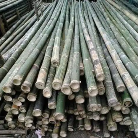 SEDIA BAMBU STEGER PANJANG 6 METER