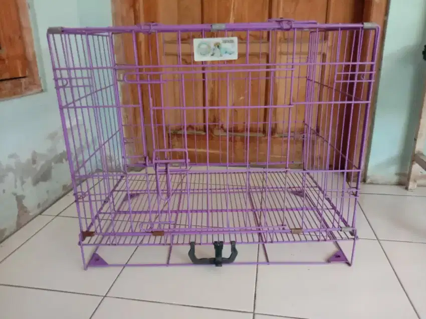 Dicari atau Dibeli Kandang Kucing Ukuran 60 cm