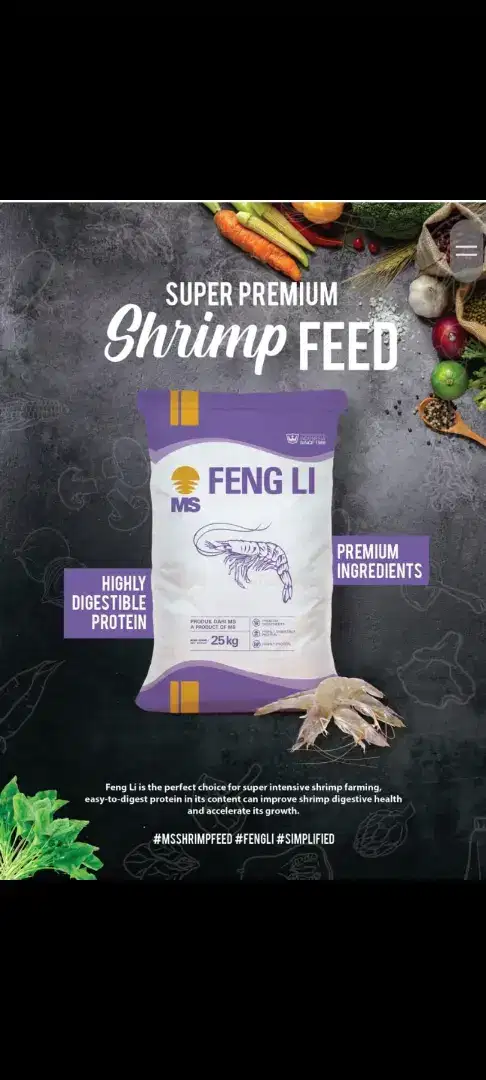 sinking feed FENG LI 3 pakan tenggelam pelet udang lobster mas koki