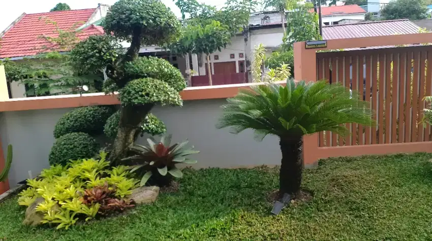 Taman dan renovasi taman