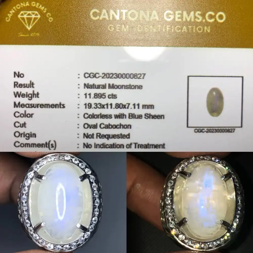 NATURAL MOONSTONE 11.895 CTS HQ