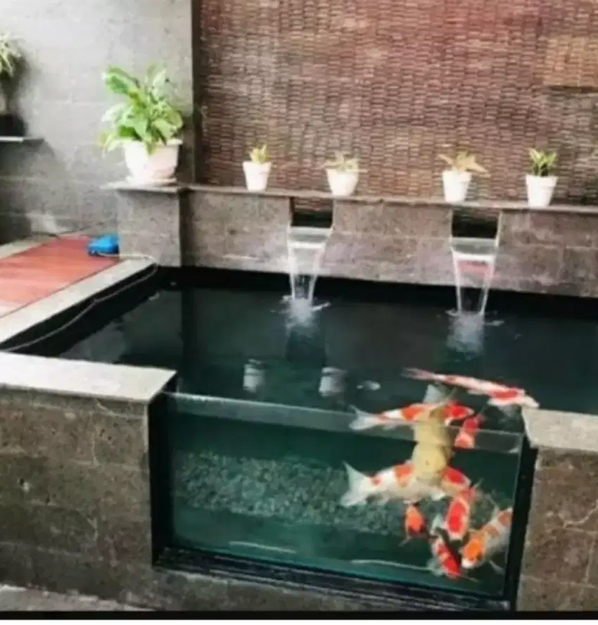 Jasa kolam ikan semarang