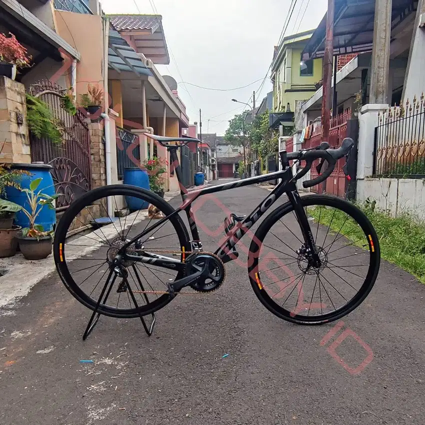 Sepeda Roadbike GUSTO Ranger Team Limited Disc Pro Ultegra Carbon UCI