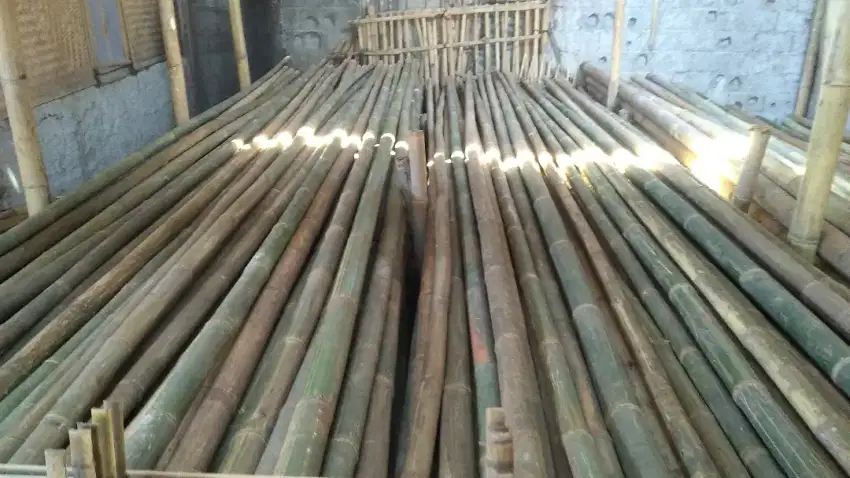 Jual bambu steger