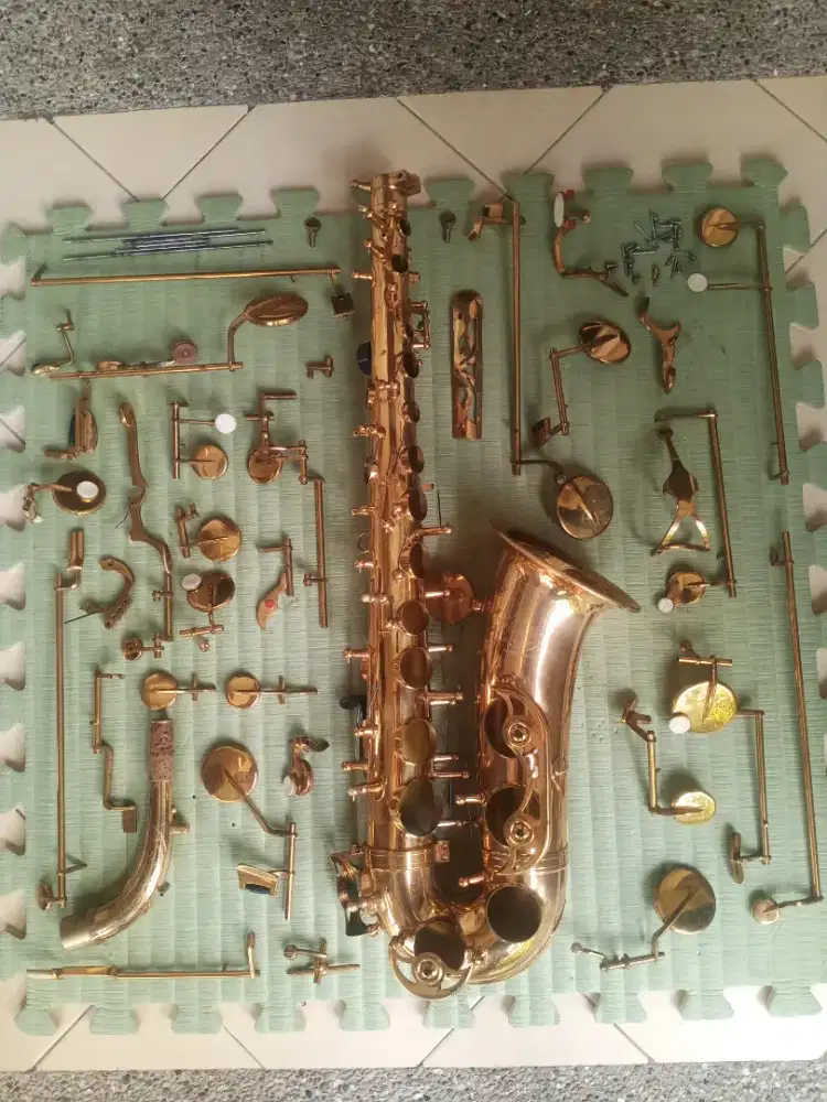 Saxophone Alto di Indonesia OLX Murah Dengan Harga Terbaik OLX.co.id