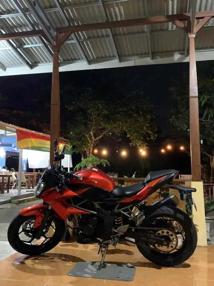 kawasaki ninja naked