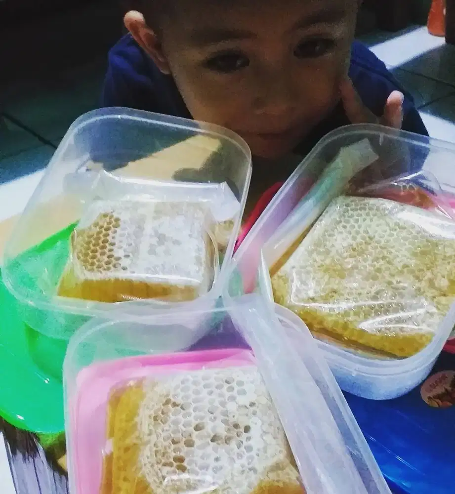 ASLI MADU SARANG LEBAH