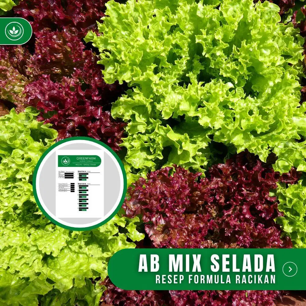 Resep Formula AB Mix Selada