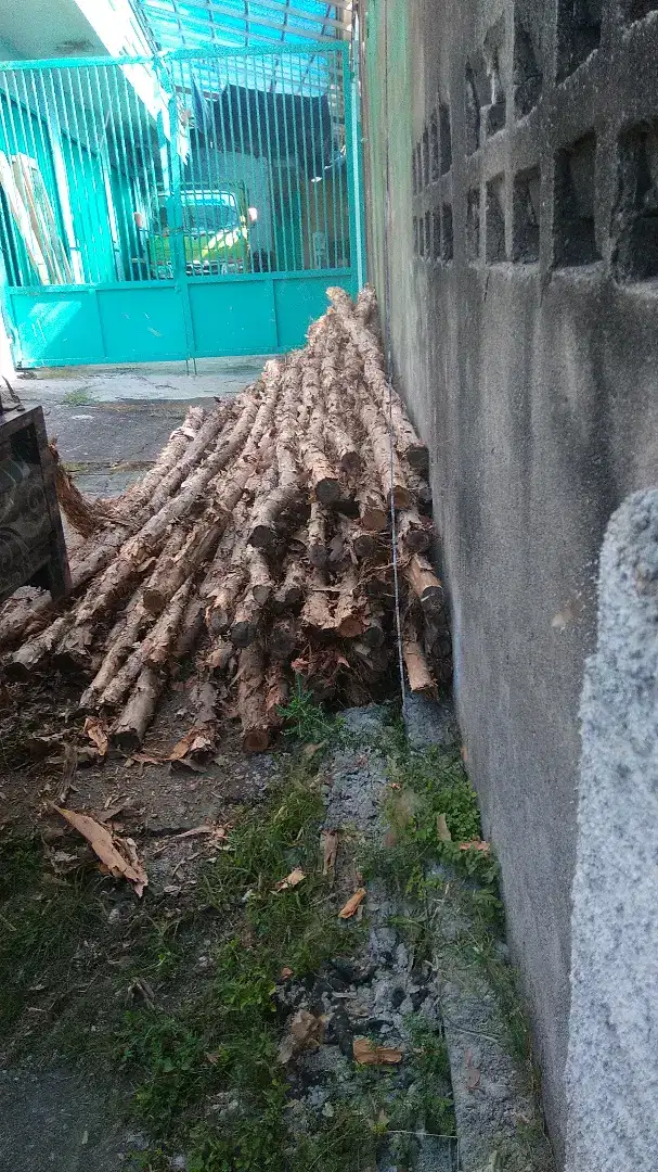 Jual bambu dan kaso balok