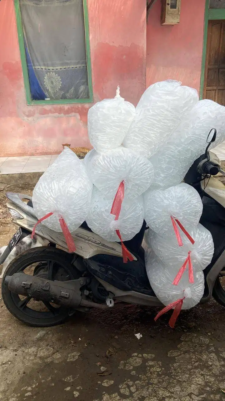 Es Batu Kristal Bandung Es Tube Minuman Halal