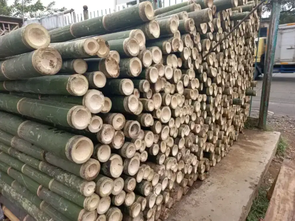 Jual bambu stger/crucuk
