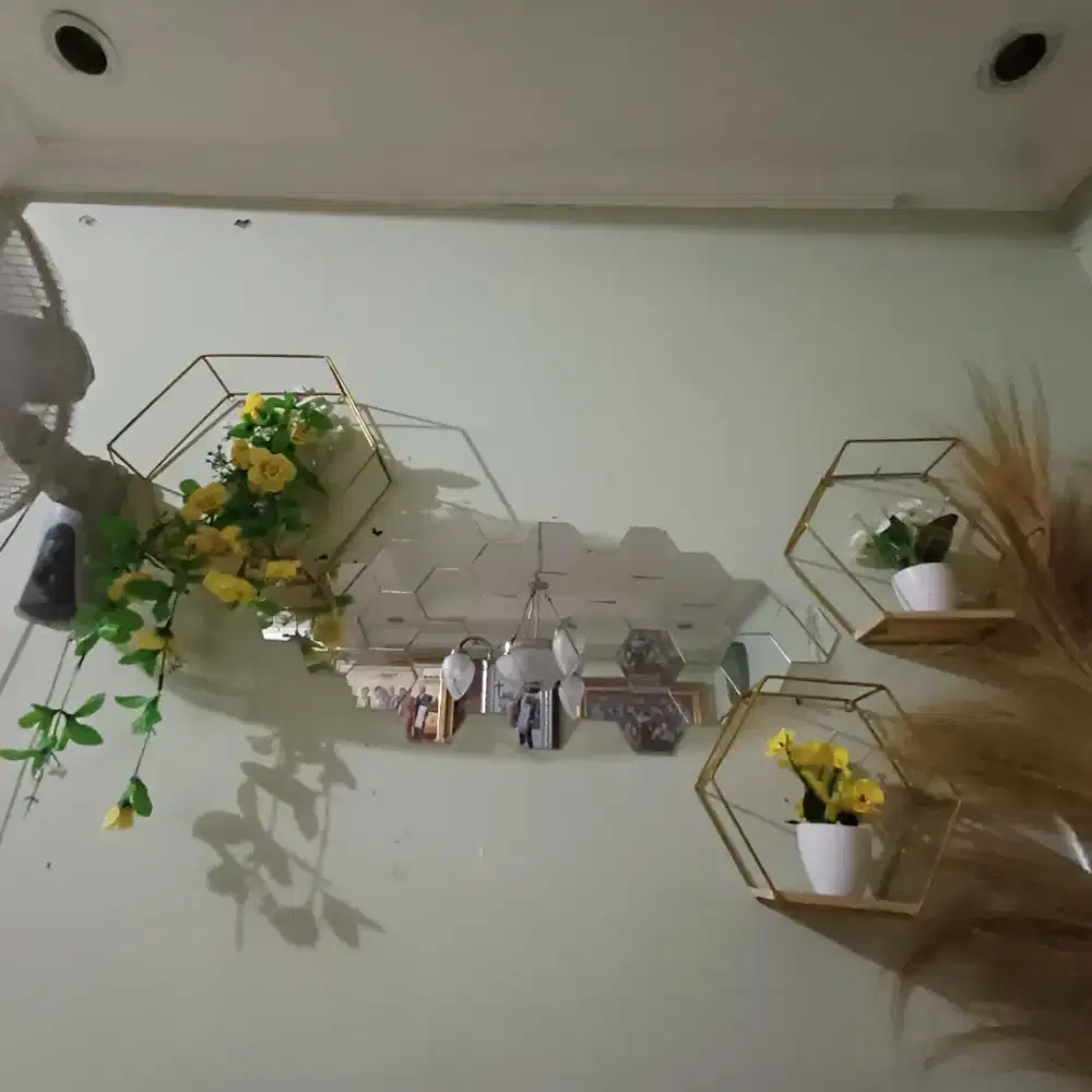 Dekorasi rumah /pajangan dinding