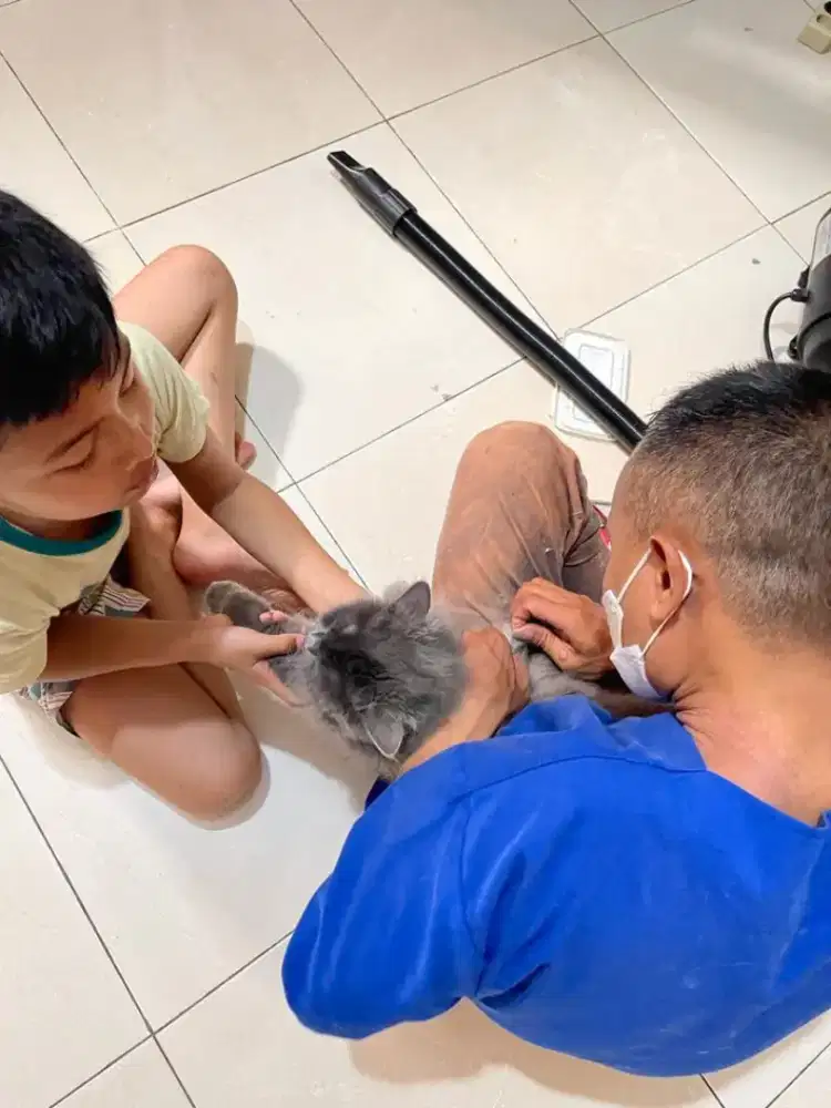 Khusus JaDeTaBek grooming khusus kucing home service
