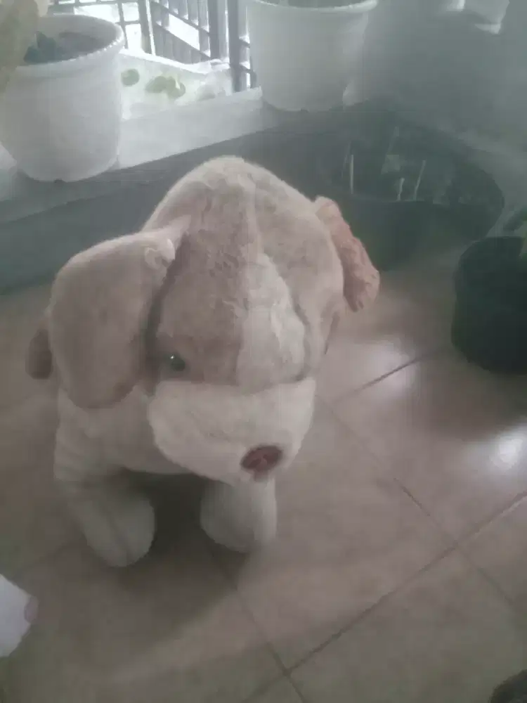 Boneka anjing kondisi masih bagus