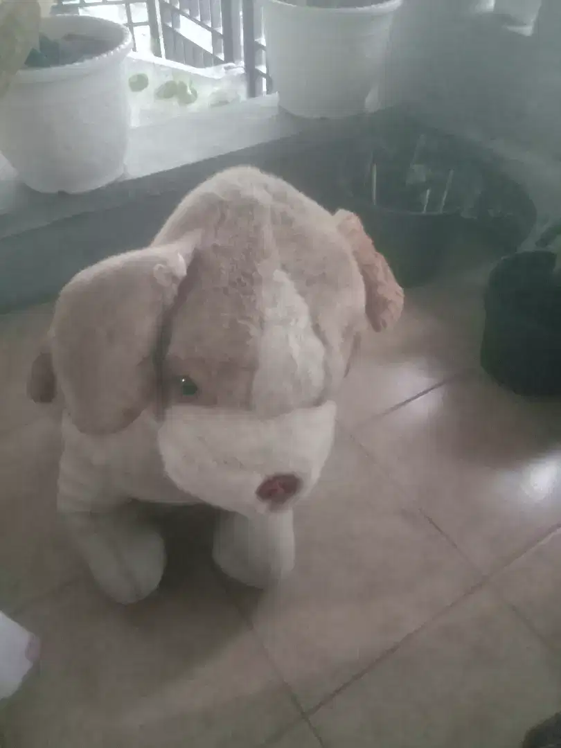 Boneka anjing kondisi masih bagus