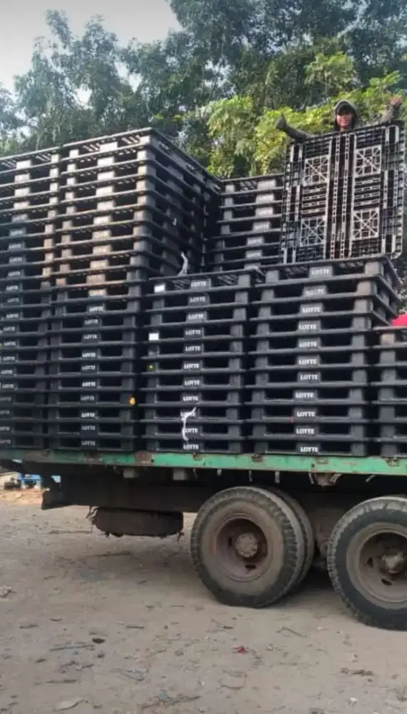 Jual pallet plastik