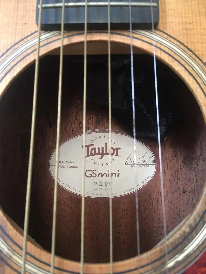 Taylor guitar ori