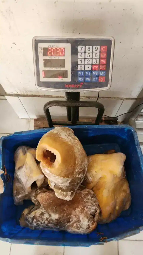 Supplier cingur sapi murah surabaya