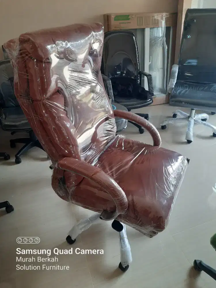 Kursi direktur spesial (new)