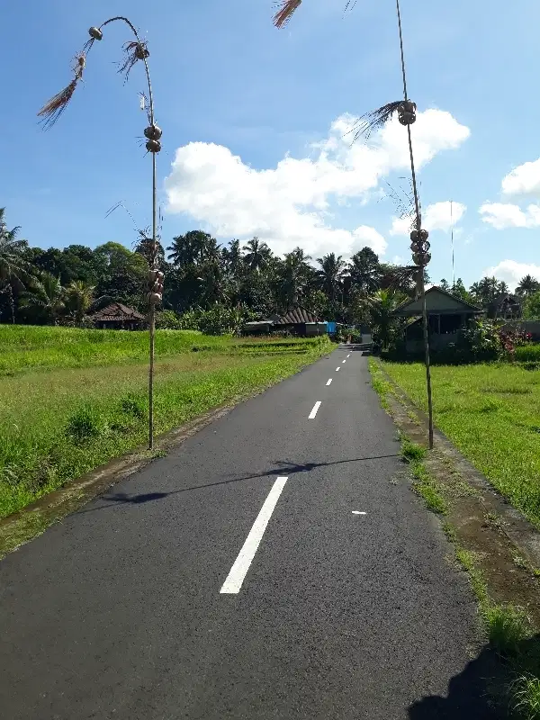 Dijual Tanah Murah Pinggir Jalan Aspal Area Penebel Tabanan Tanah