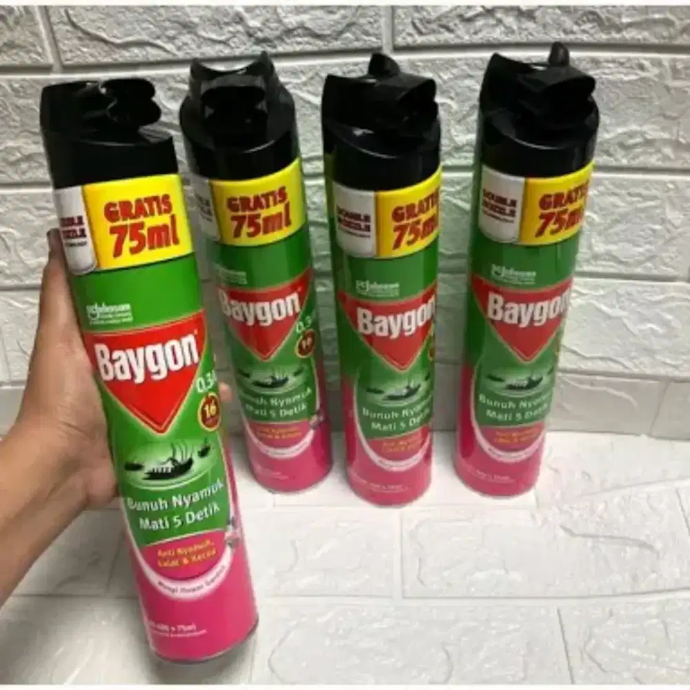 Baygon Aerosol Spray Jumbo 675ml