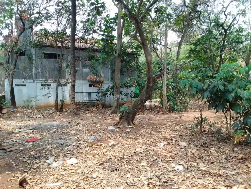 Di JUAL TANAH MURAH,DAN BISA NEGO,BAYAR 2 X CICIL