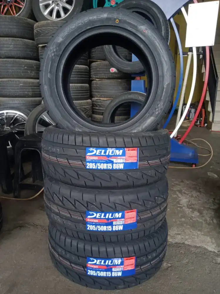 Ban delium evorace 205 50 15