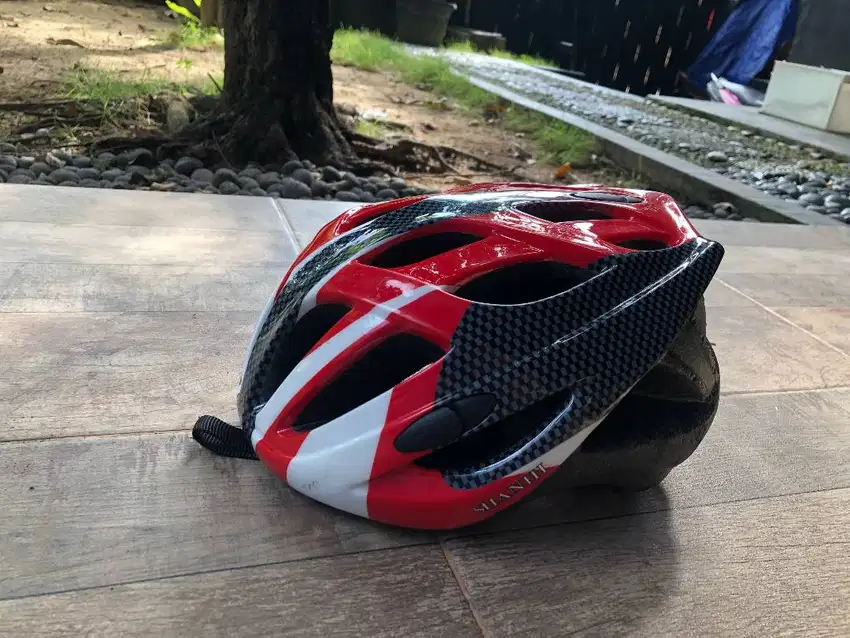 Helmet sepeda Roar