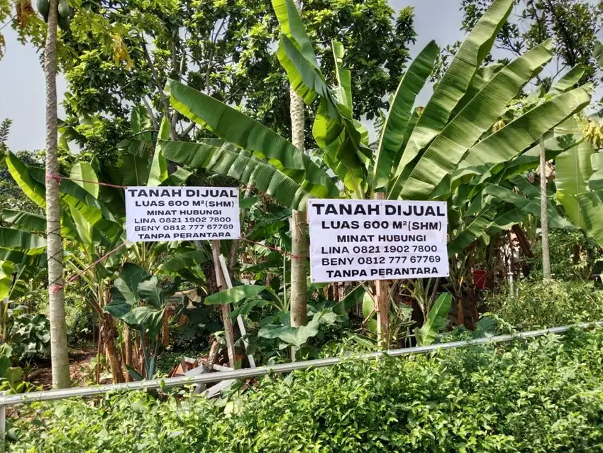 Dijual tanah kebun seluas 600 m2 SHM di Tajurhalang kabupaten Bogor.