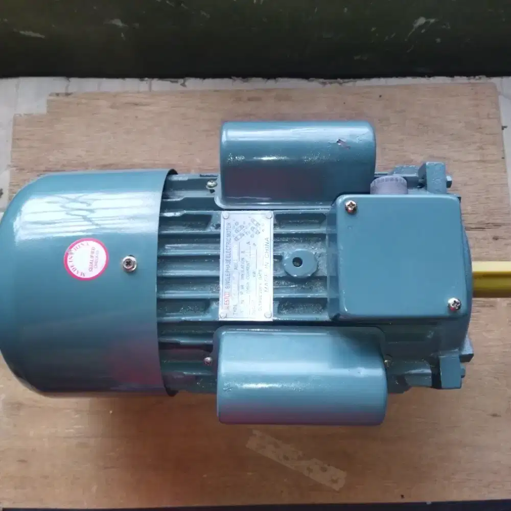 Electro Dinamo Motor 2 HP 2 PK WESTCO YC100L2-4