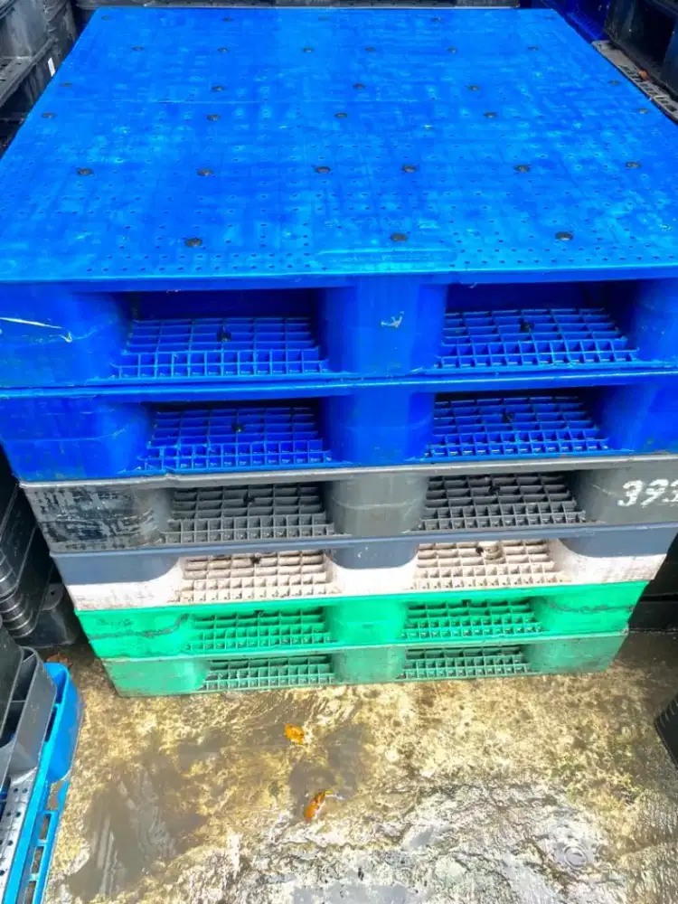 Palet plastik higienis