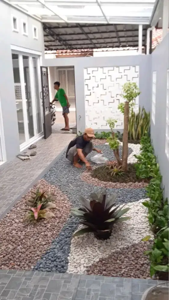 Pasang rumput pembuatan taman murah tukang taman Jabodetabek