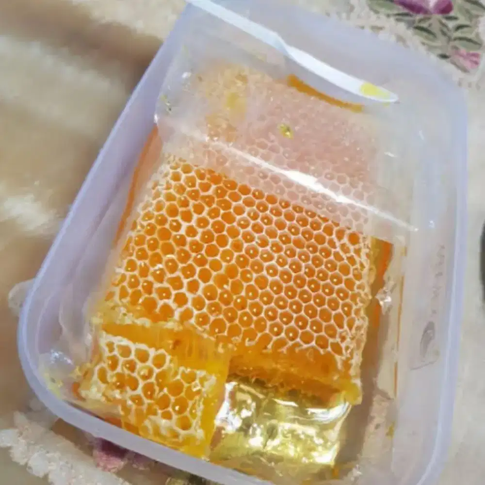 SARANG MADU ASLI 500gram