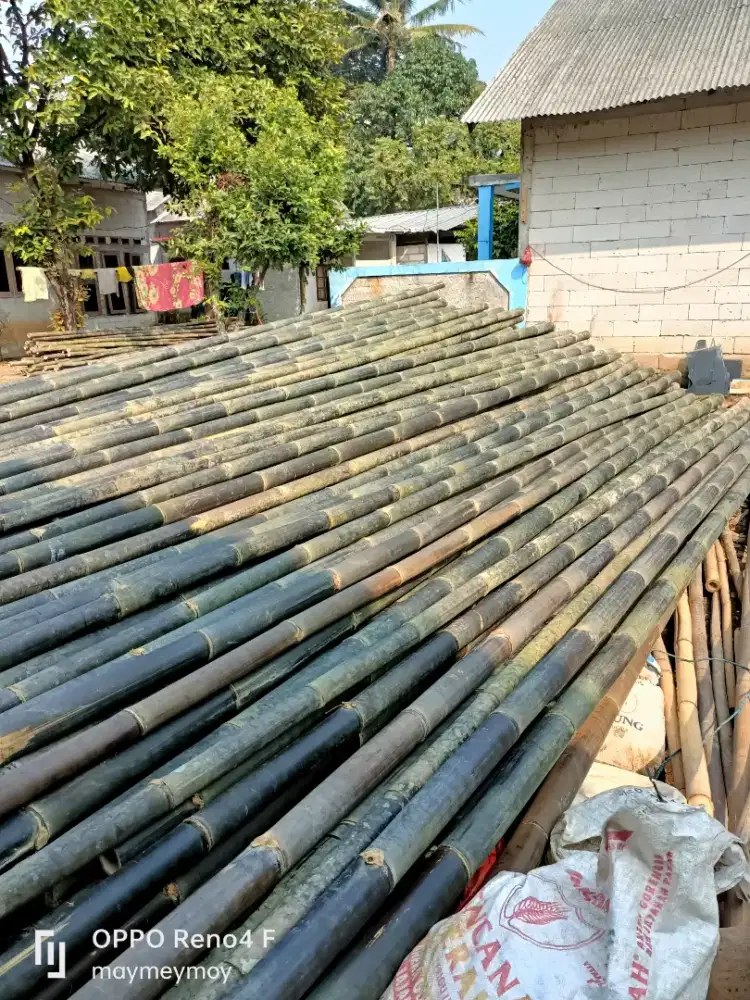 Bambu steger 7meteran