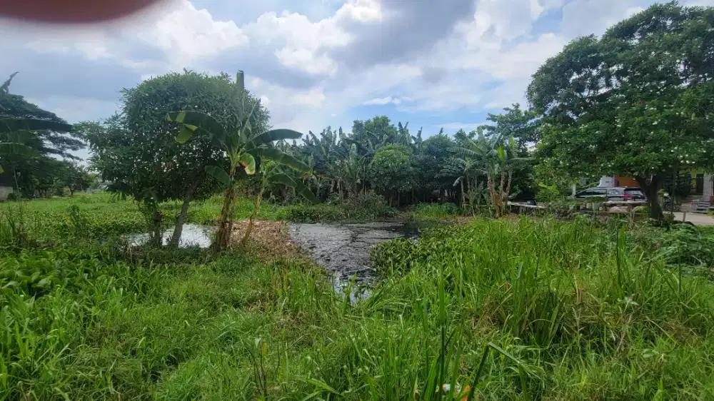 Tanah rawah 400m2 Tambun Selatan