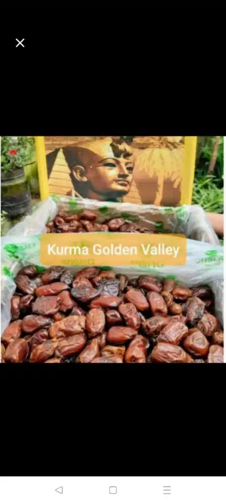 kurma golden valley premium 10 kg